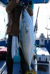 松運丸 釣果