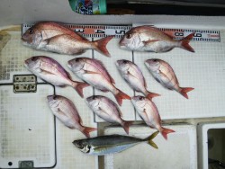 さぶろう丸 釣果