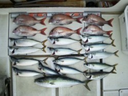 さぶろう丸 釣果