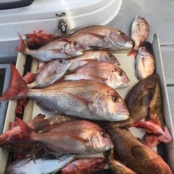 LUZ PLAYA　ルスプラージャ 釣果