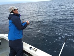 オーシャンキッズ 釣果