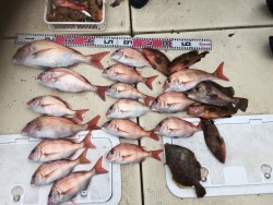 リトルワン 釣果