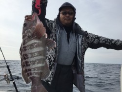 オーシャンキッズ 釣果