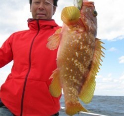 Aquanaut（アクアノート） 釣果