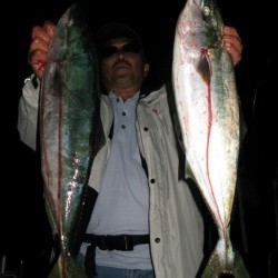 Aquanaut（アクアノート） 釣果