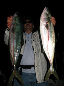 Aquanaut（アクアノート） 釣果