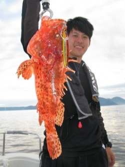 Aquanaut（アクアノート） 釣果