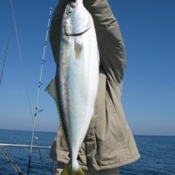 Aquanaut（アクアノート） 釣果