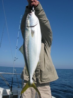 Aquanaut（アクアノート） 釣果