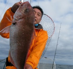 Aquanaut（アクアノート） 釣果