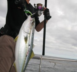 Aquanaut（アクアノート） 釣果