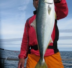 Aquanaut（アクアノート） 釣果