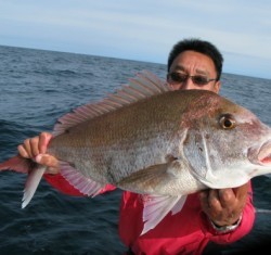 Aquanaut（アクアノート） 釣果