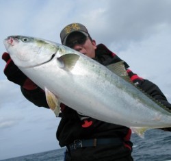 Aquanaut（アクアノート） 釣果