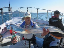 アジアマリンサービス 釣果