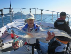アジアマリンサービス 釣果