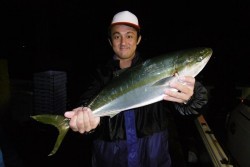 ハピネスⅡ 釣果