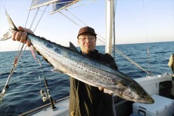 ハピネスⅡ 釣果