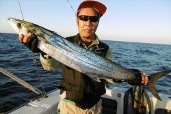 ハピネスⅡ 釣果