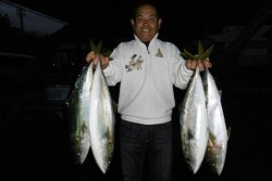 ハピネスⅡ 釣果