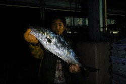 ハピネスⅡ 釣果