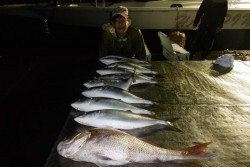 ハピネスⅡ 釣果