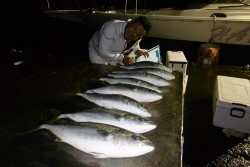 ハピネスⅡ 釣果