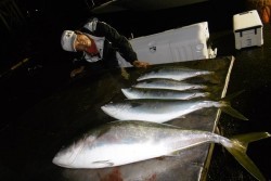 ハピネスⅡ 釣果