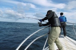 ハピネスⅡ 釣果