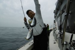 ハピネスⅡ 釣果