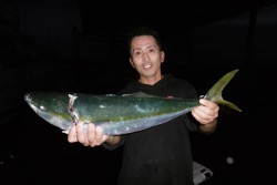 ハピネスⅡ 釣果