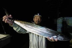 ハピネスⅡ 釣果