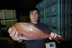 ハピネスⅡ 釣果