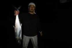 ハピネスⅡ 釣果