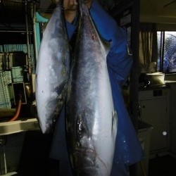 ハピネスⅡ 釣果