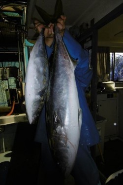 ハピネスⅡ 釣果