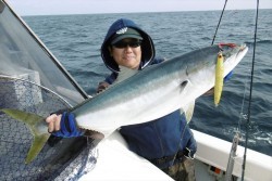 ハピネスⅡ 釣果