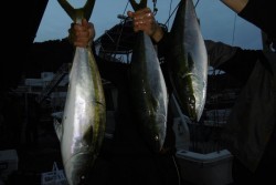 ハピネスⅡ 釣果