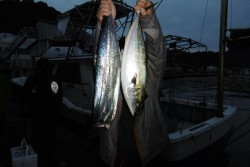 ハピネスⅡ 釣果