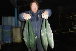 ハピネスⅡ 釣果