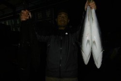 ハピネスⅡ 釣果