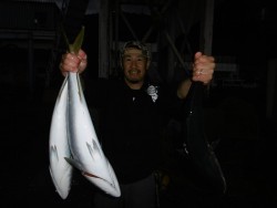 ハピネスⅡ 釣果