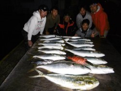 ハピネスⅡ 釣果