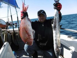 ハピネスⅡ 釣果