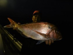 ハピネスⅡ 釣果