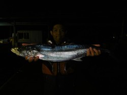 ハピネスⅡ 釣果