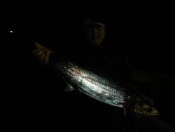 ハピネスⅡ 釣果