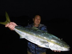 ハピネスⅡ 釣果