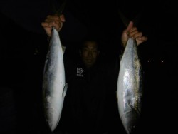 ハピネスⅡ 釣果