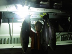 ハピネスⅡ 釣果